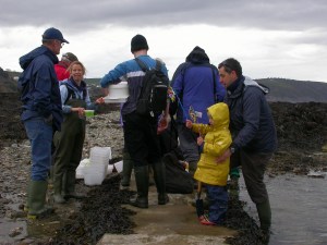 Rock pooling for all ages in Cornwall, all year round.