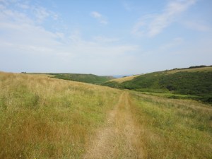 Porth Mear, Cornwall. Rock pools.