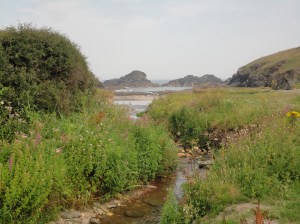 Porth Mear, Porthcothan, Cornwall. Rock pools.