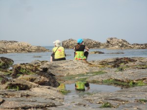 Porth Mear rock pools