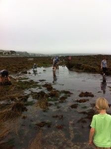 Shore Search Hannafore Cornwall