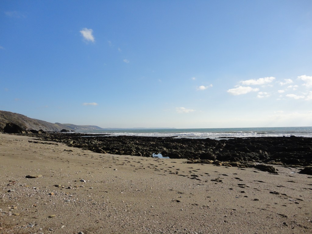 The Zen Guide to&nbsp;Rockpooling