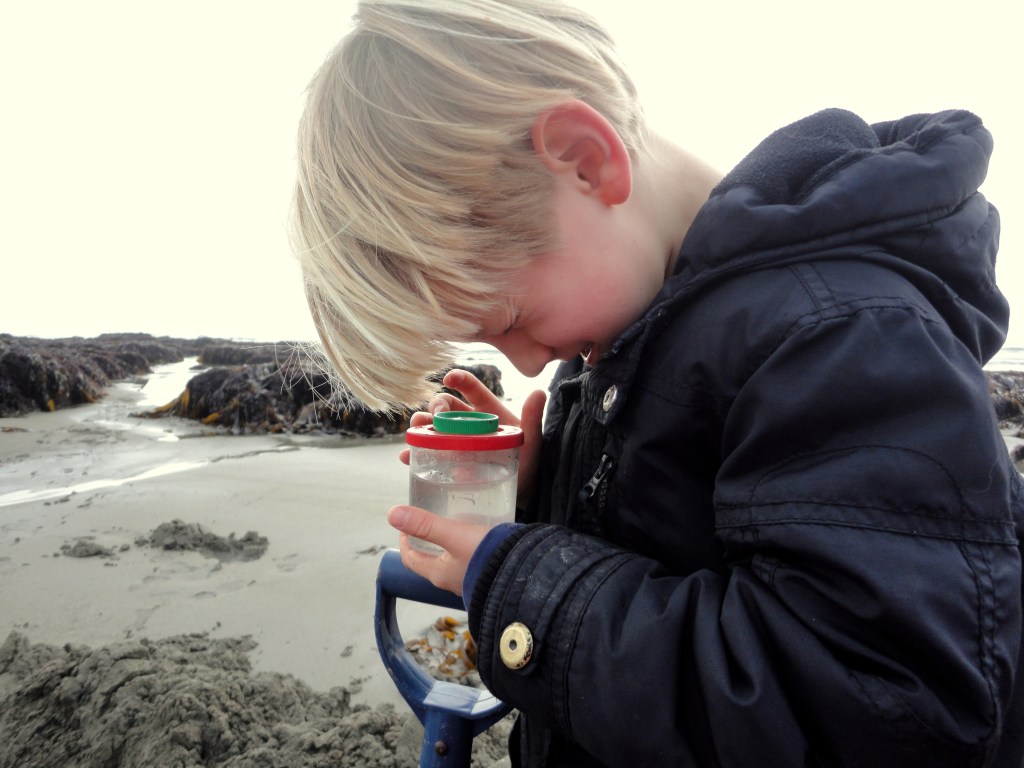 Taking a closer look with a magnifying pot