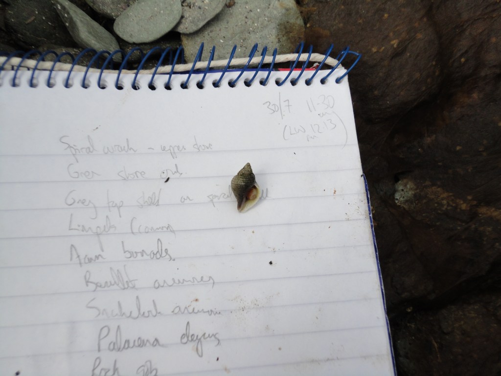 Shore survey notepad