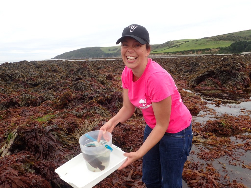 On a rockpool tour with Cornish Rock Pools