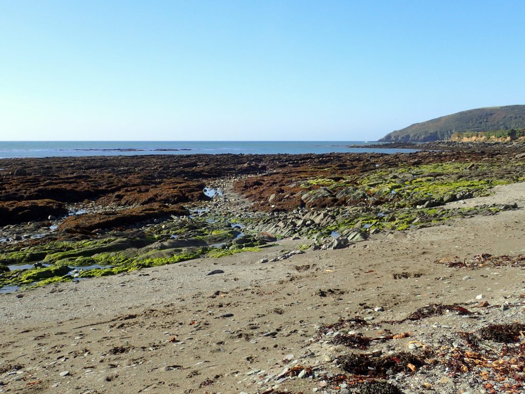 Autumn in the Cornish Rock Pools