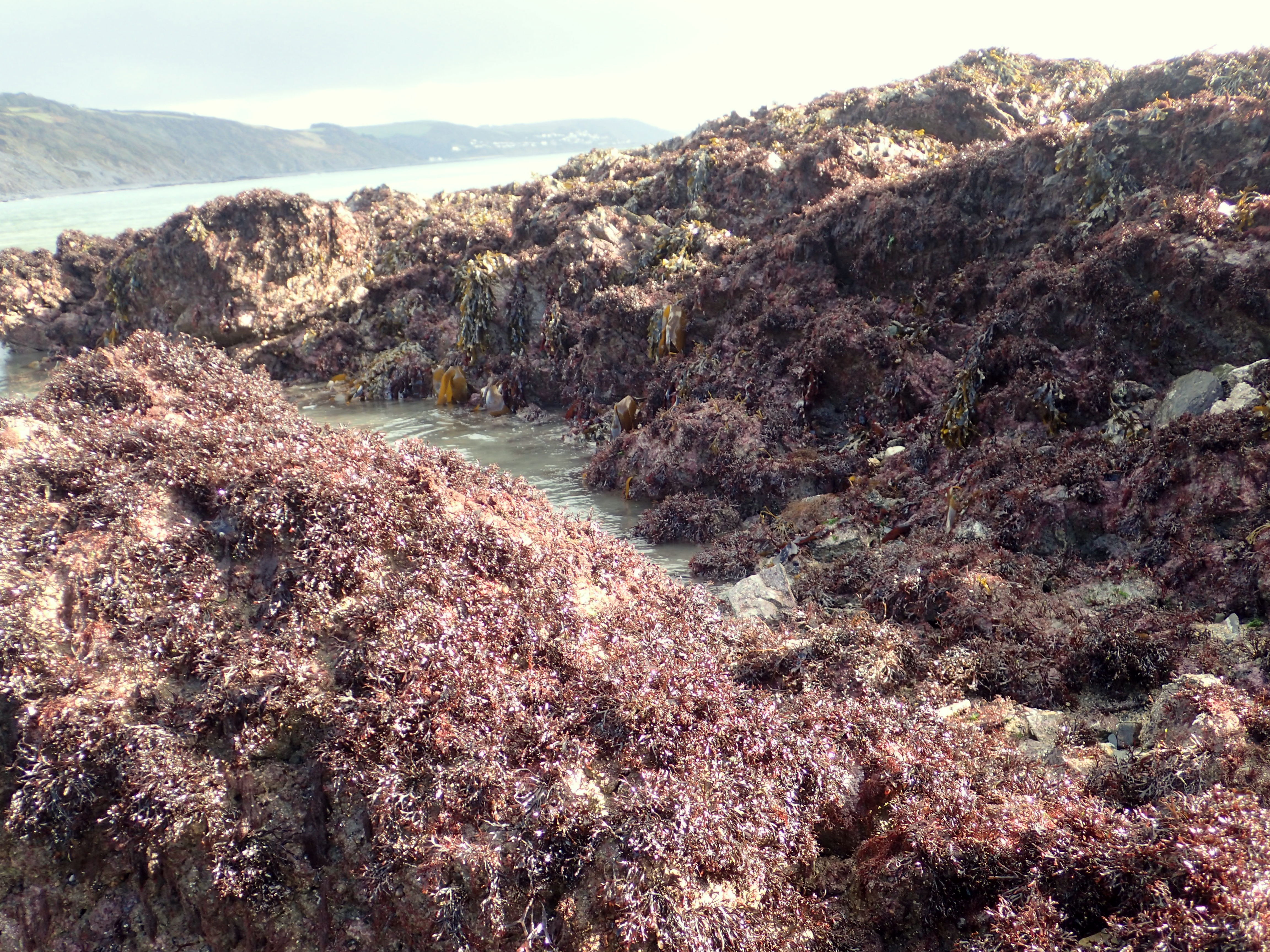 Perfect - this sheltered gully has weathered the storms.
