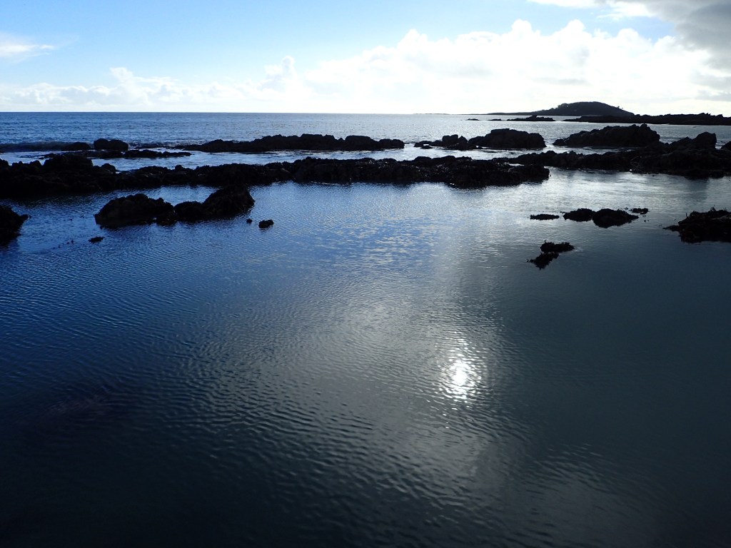 Rockpooling Heaven (And a&nbsp;downpour)