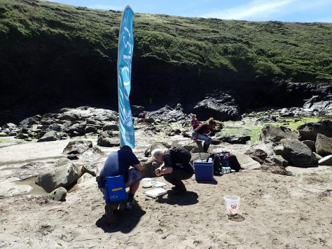 Getting started on the beach with at the Lundy Bay bioblitz