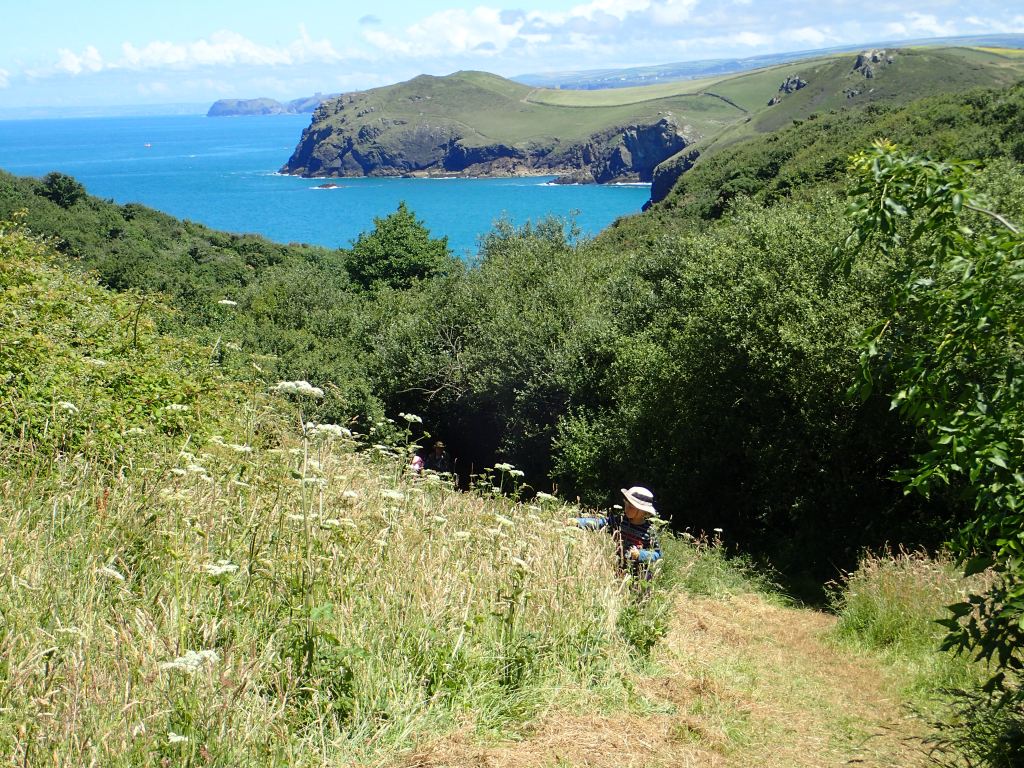 Fun and fish at the Lundy Bay Bioblitz