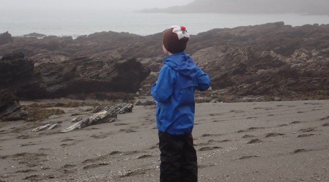 Cornish Rock Pools Junior deep in contemplation