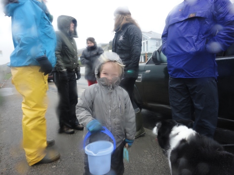 Junior's training in rockpooling in all weathers started early - out with Countryfile age 3