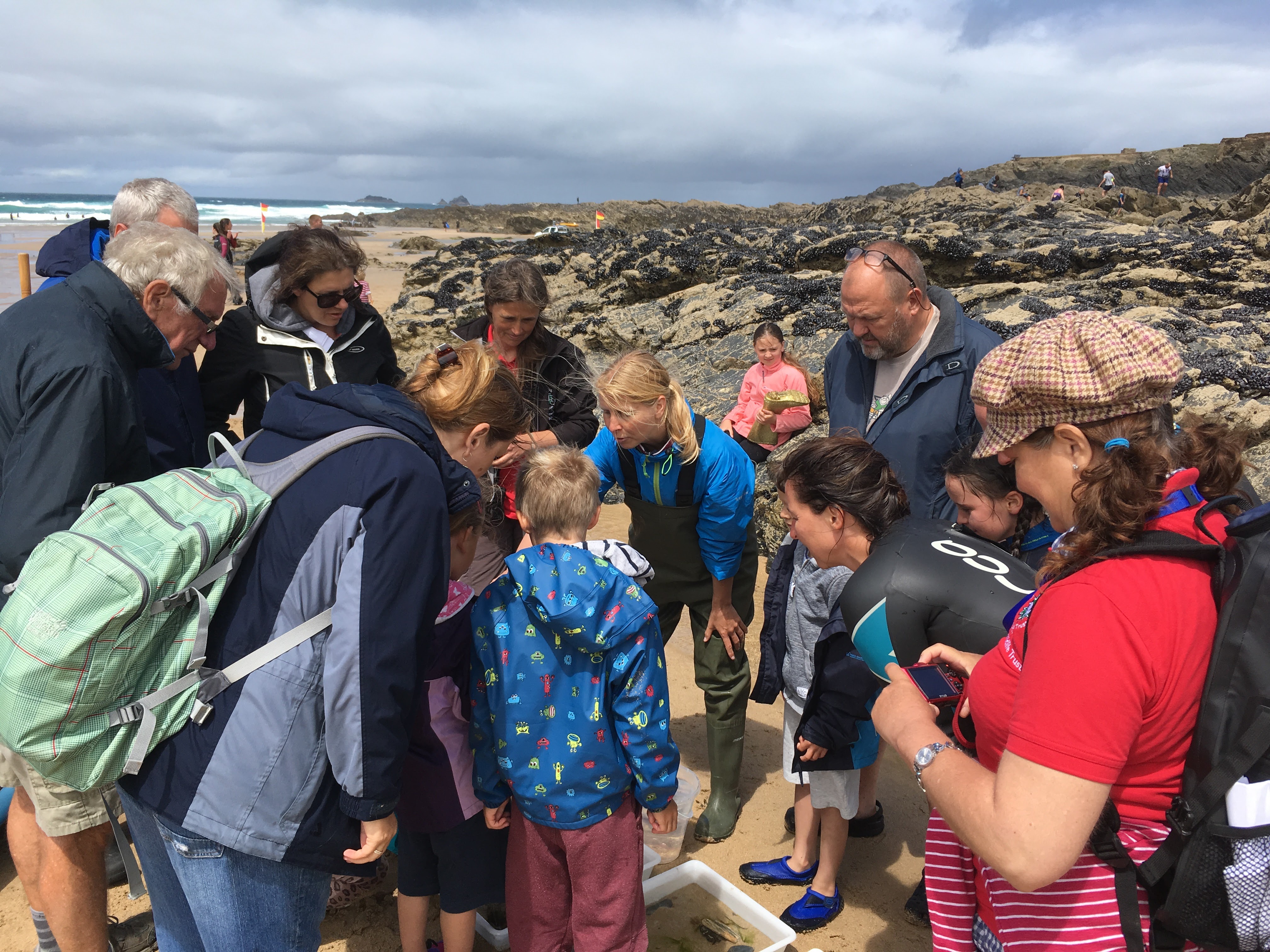 2017 was my first year of leading events for the Cornwall Wildlife Trust's junior branch. I used to love the events as a kid and introducing a new generation and their families to jellyfish, starfish and other rockpool creatures is so much fun! I can't wait for my 2018 Wildlife Watch events and the Looe Marine Conservation Group rockpool rambles where I also volunteer.
