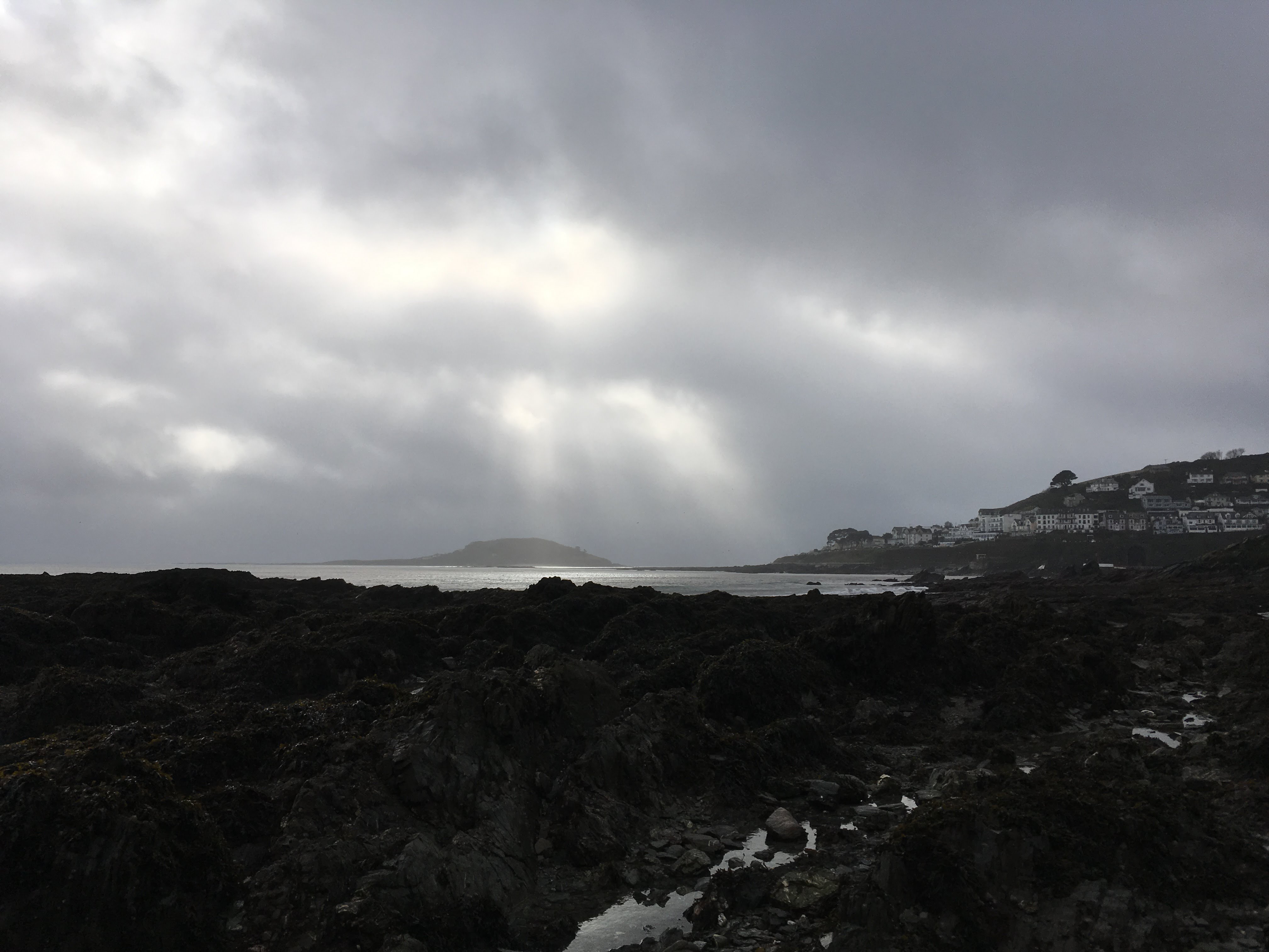 See - it's lovely out there! Looe rock pooling in January.
