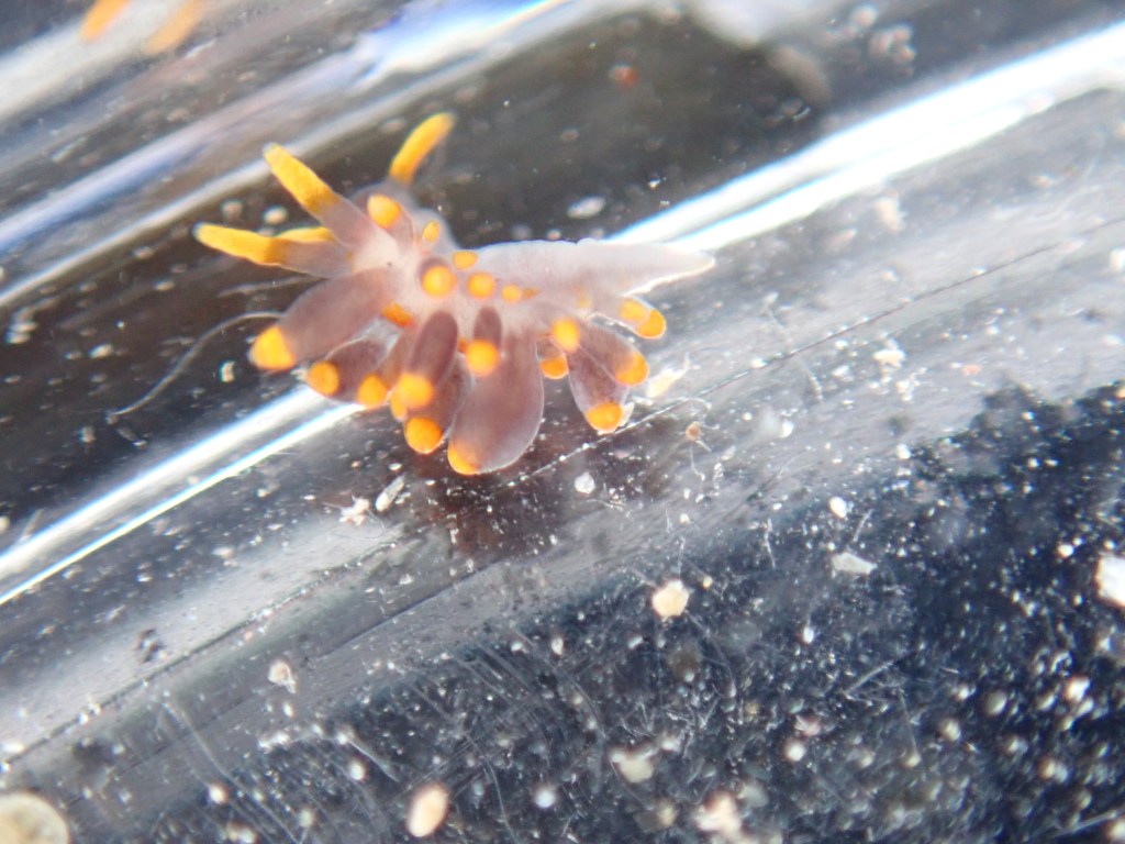 Warming up for the&nbsp;Weekend