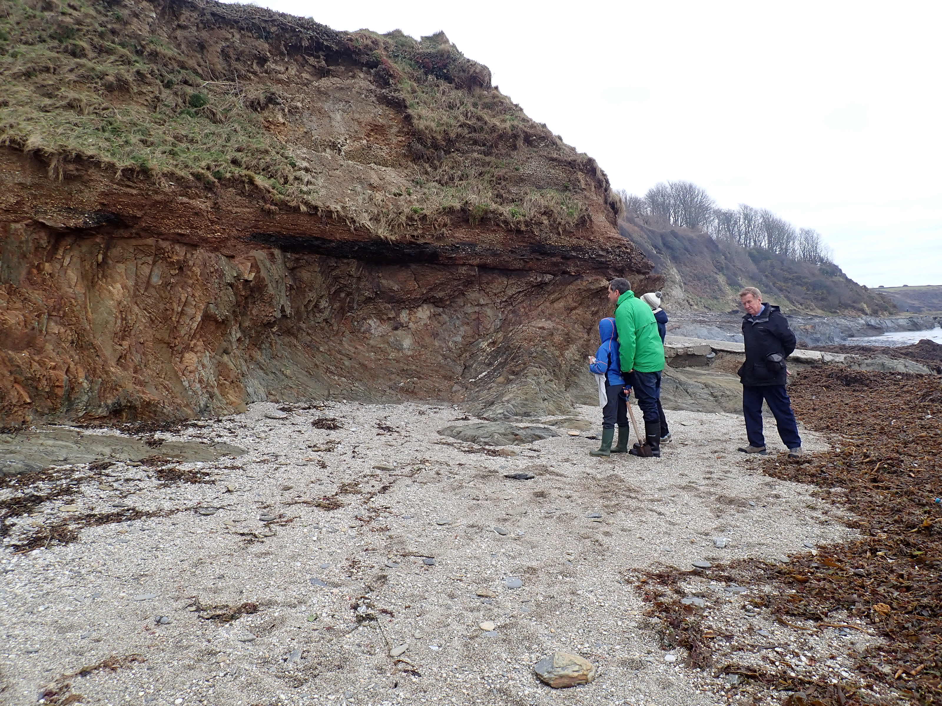 Examining the geology in the cliffs at Bream Cove (I'm already drifting towards the pools).
