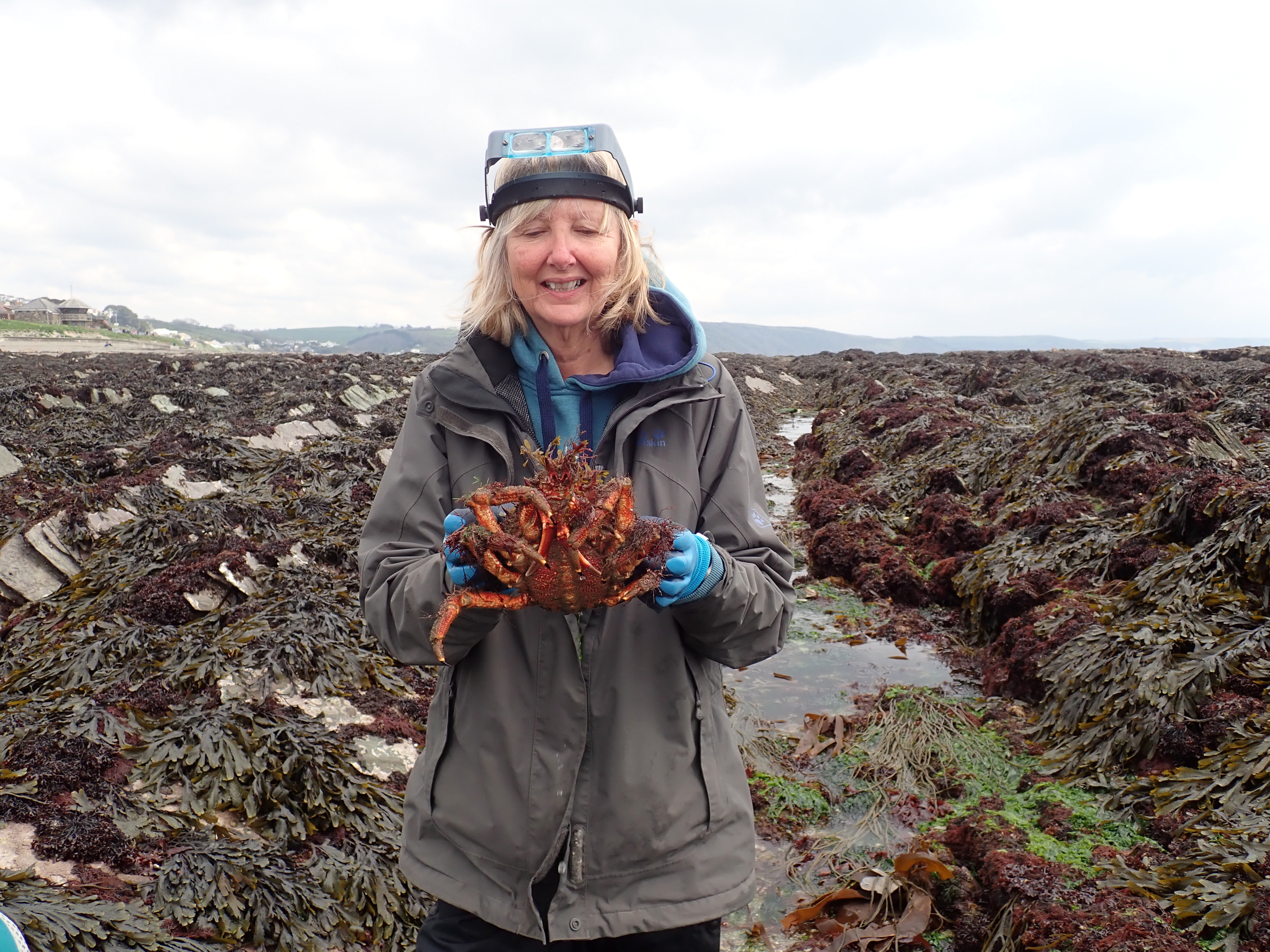 Julie with her spider crab
