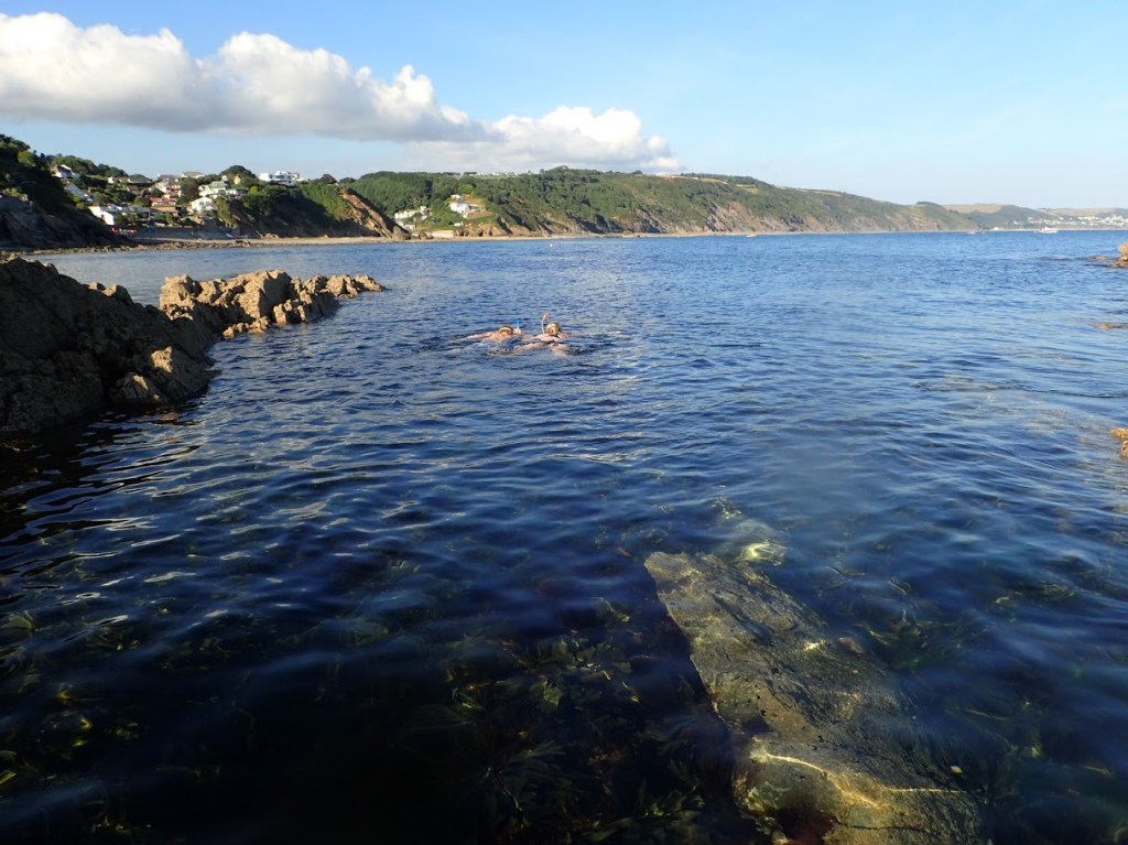 A summer of snorkels, jellyfish and wrasse