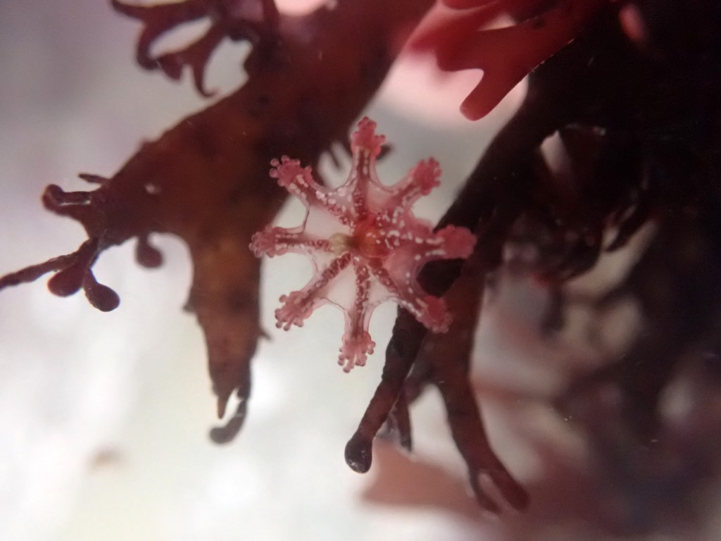 A Quick Winter&nbsp;Walk