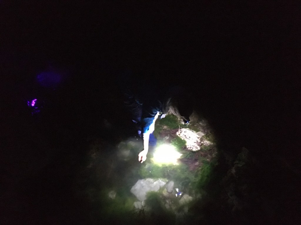 A Night Out In The Rock&nbsp;Pools