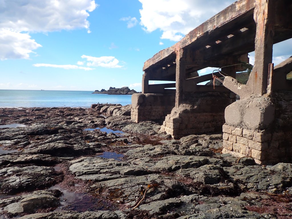 Rock Pooling at Lizard Point: Cowries, Sea Slugs and a Saffron&nbsp;Bun
