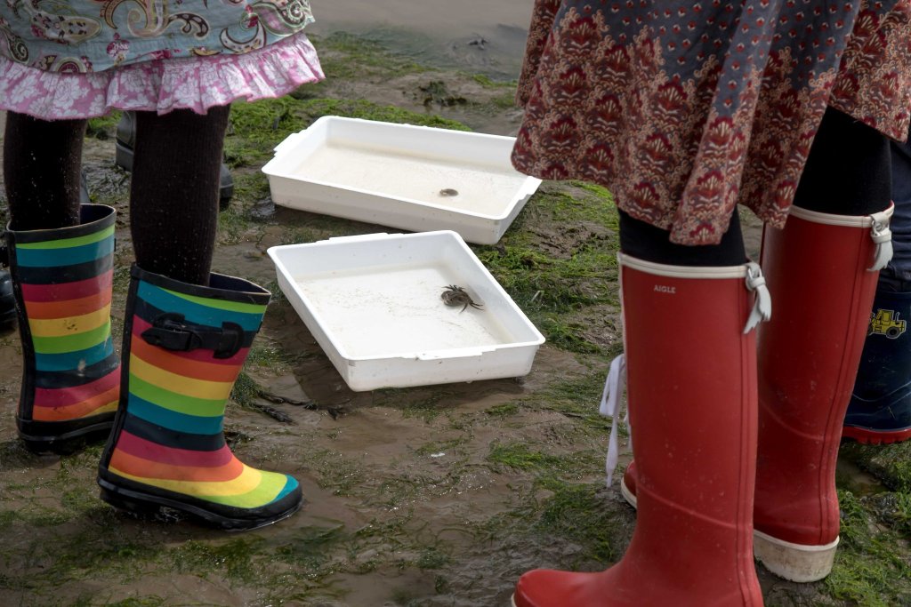 Beach Explorers at Filey Literature&nbsp;Festival